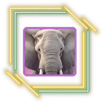 รีวิวเกมสล็อต Safari Wilds