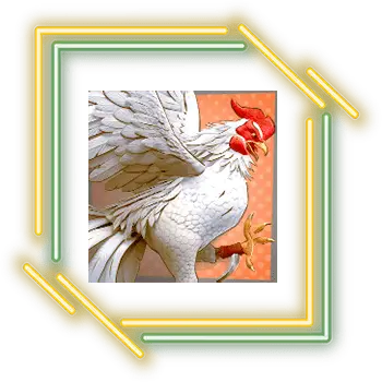 รีวิวเกมสล็อต Rooster Rumble